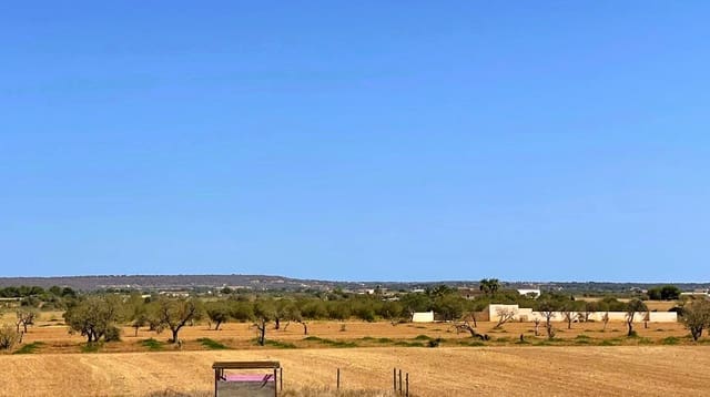 5 bedroom Finca/Country House for sale in Campos with garage - € 1,300,000 (Ref: 8456402)