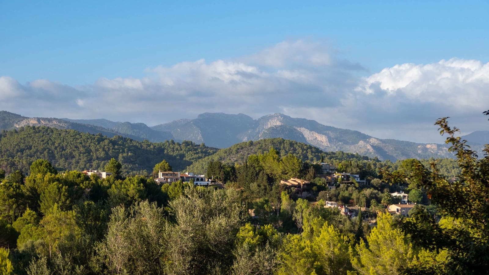 4 soveværelse Finca/Landehus til salg i Establiments med swimmingpool garage - € 1.995.000 (Ref: 8465954)