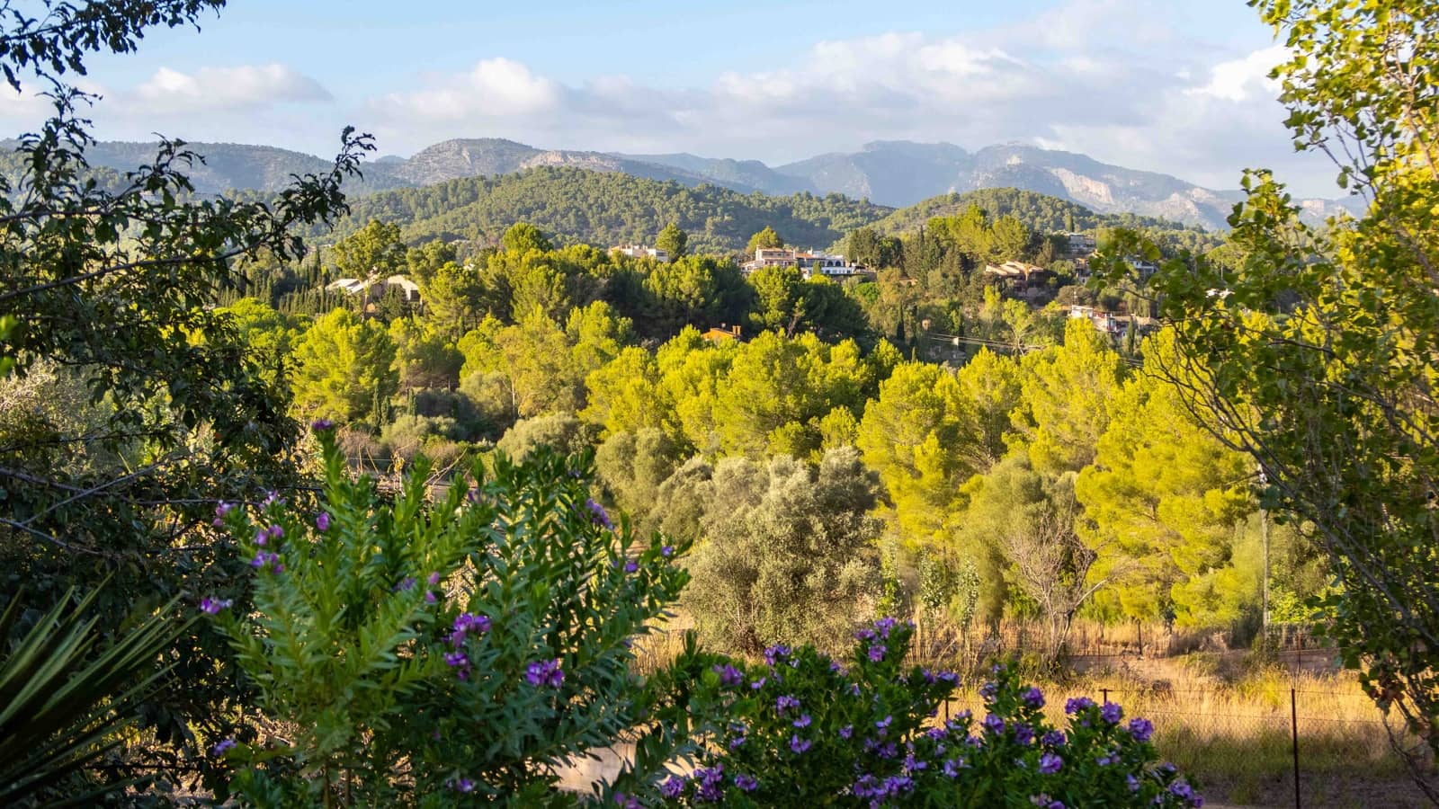 4 soveværelse Finca/Landehus til salg i Establiments med swimmingpool garage - € 1.995.000 (Ref: 8465954)