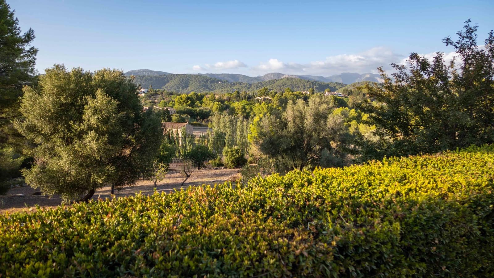 4 soveværelse Finca/Landehus til salg i Establiments med swimmingpool garage - € 1.995.000 (Ref: 8465954)