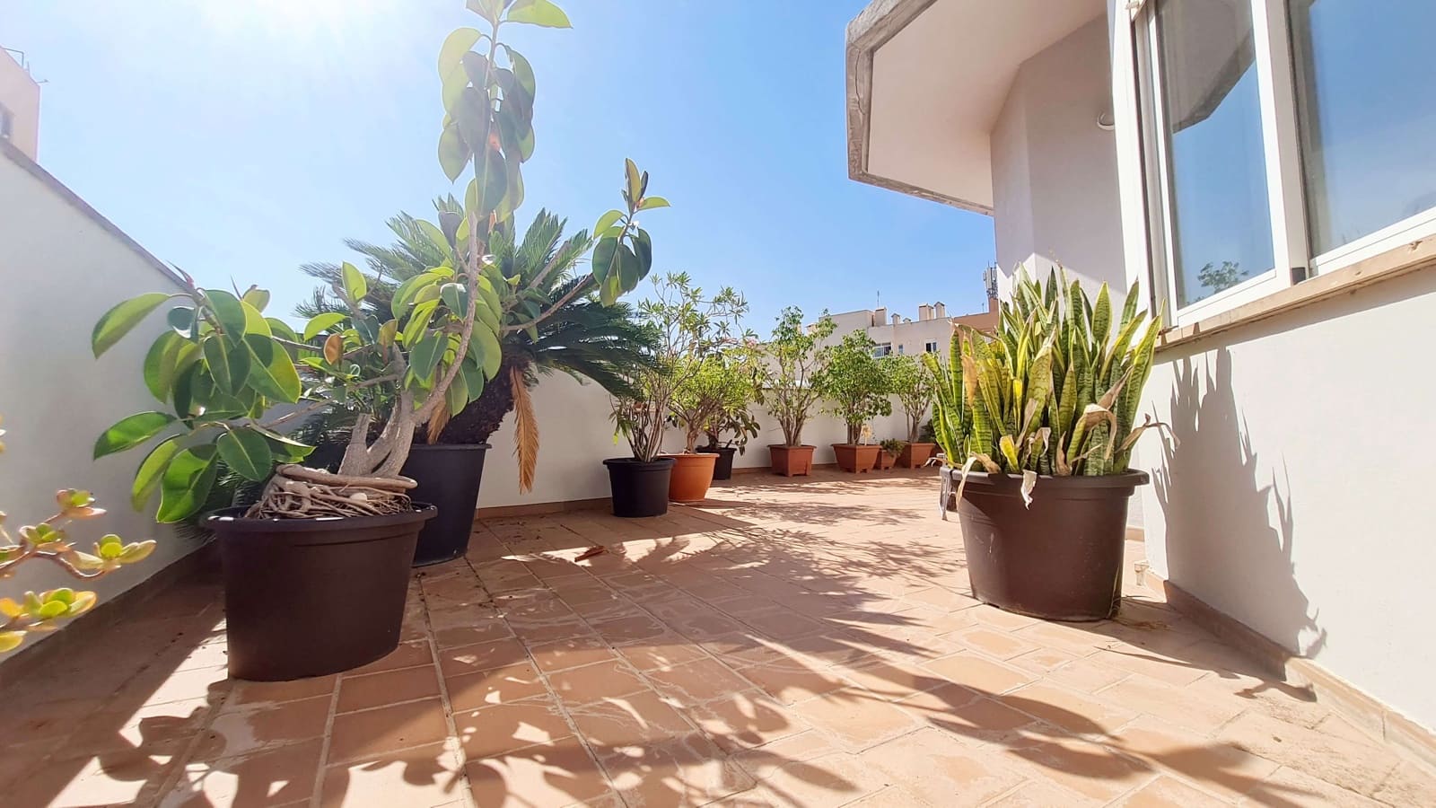 Apartamento de 2 habitaciones en Palma de Mallorca en alquiler con garaje - 1.870 € (Ref: 8548722)
