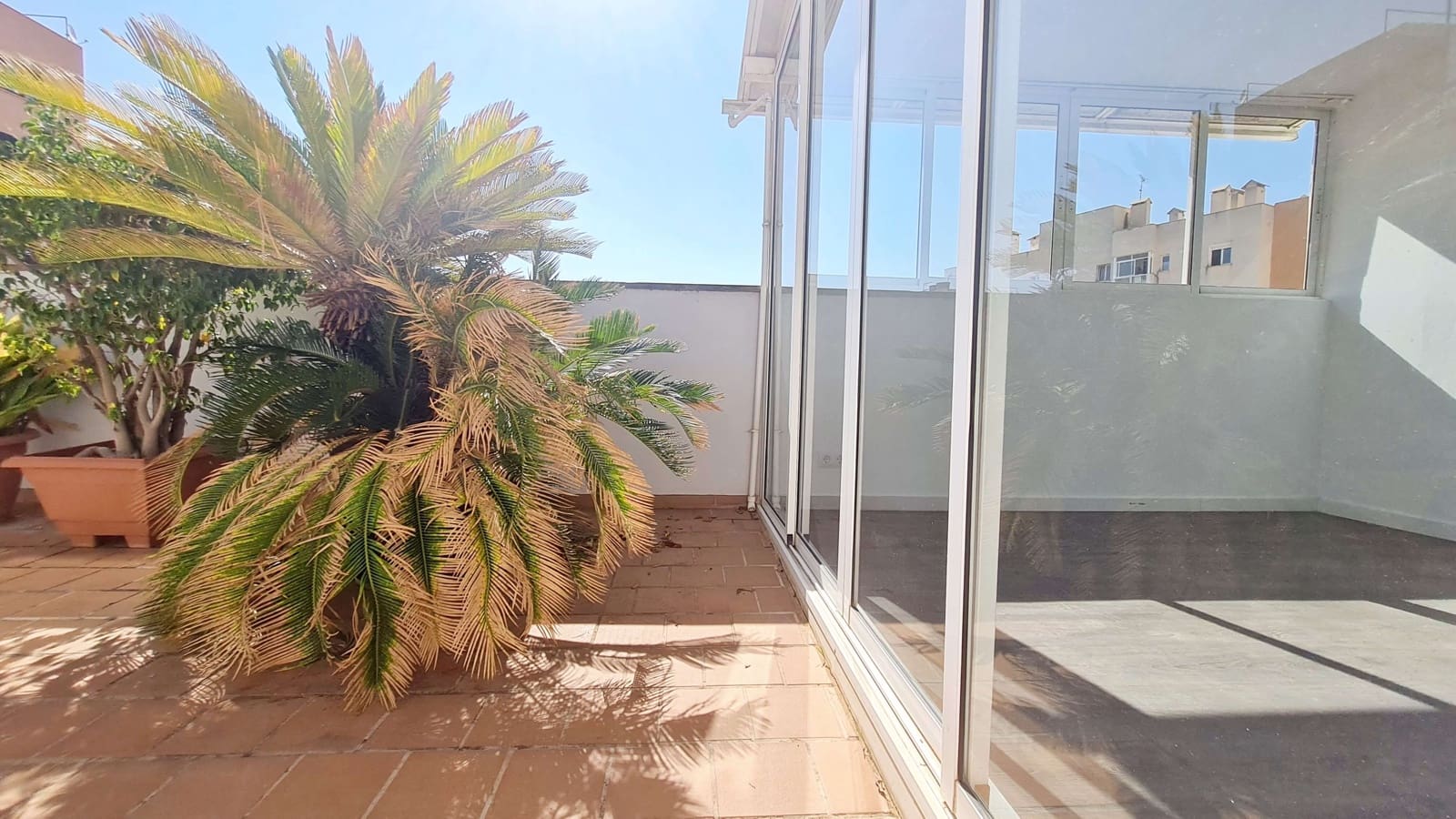 Apartamento de 2 habitaciones en Palma de Mallorca en alquiler con garaje - 1.870 € (Ref: 8548722)