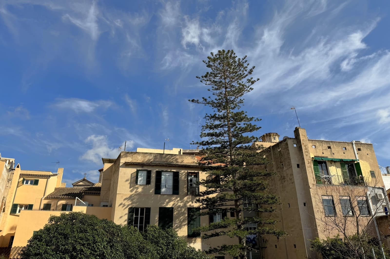 2 Zimmer Apartment zu vermieten in Palma de Mallorca - 3.500 € (Ref: 8559035)