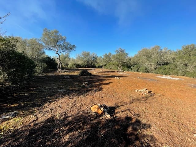 Area Edificabile in vendita in Felanitx - 790.000 € (Rif: 8619437)