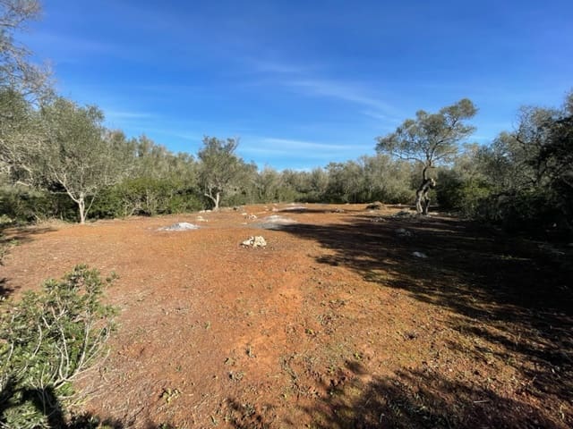 Area Edificabile in vendita in Felanitx - 790.000 € (Rif: 8619437)