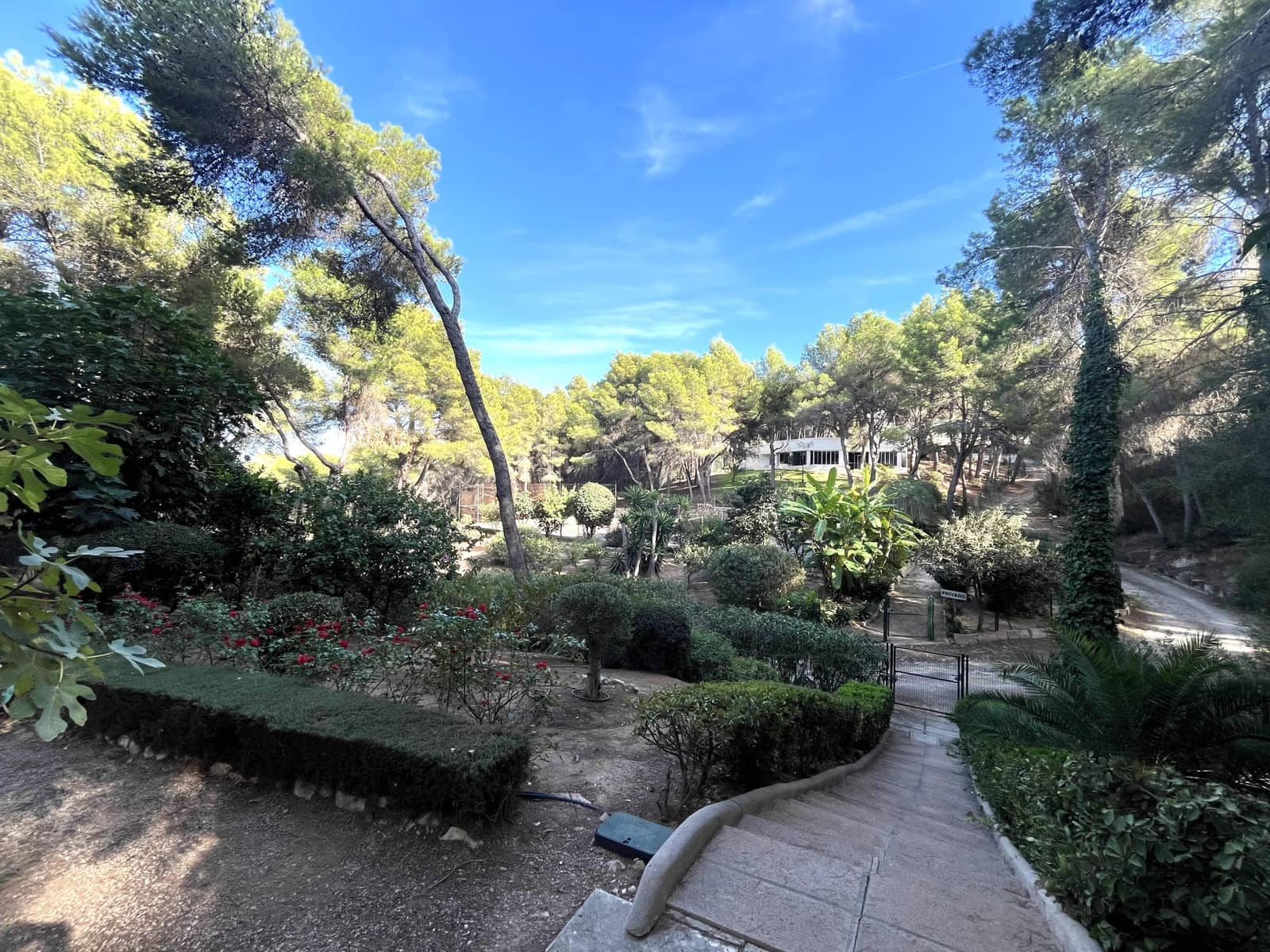 3 chambre Appartement à vendre à Sol de Mallorca avec garage - 430 000 € (Ref: 8635955)