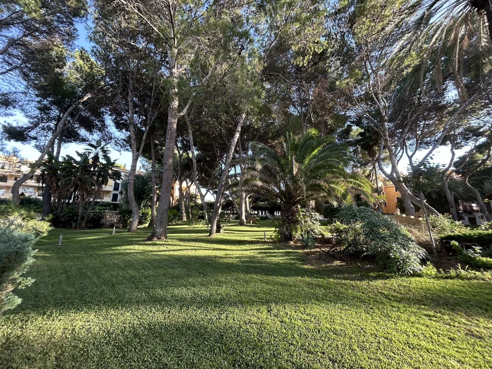 4 bedroom Apartment for rent in Santa Ponsa with pool garage - € 3,500 (Ref: 8661576)