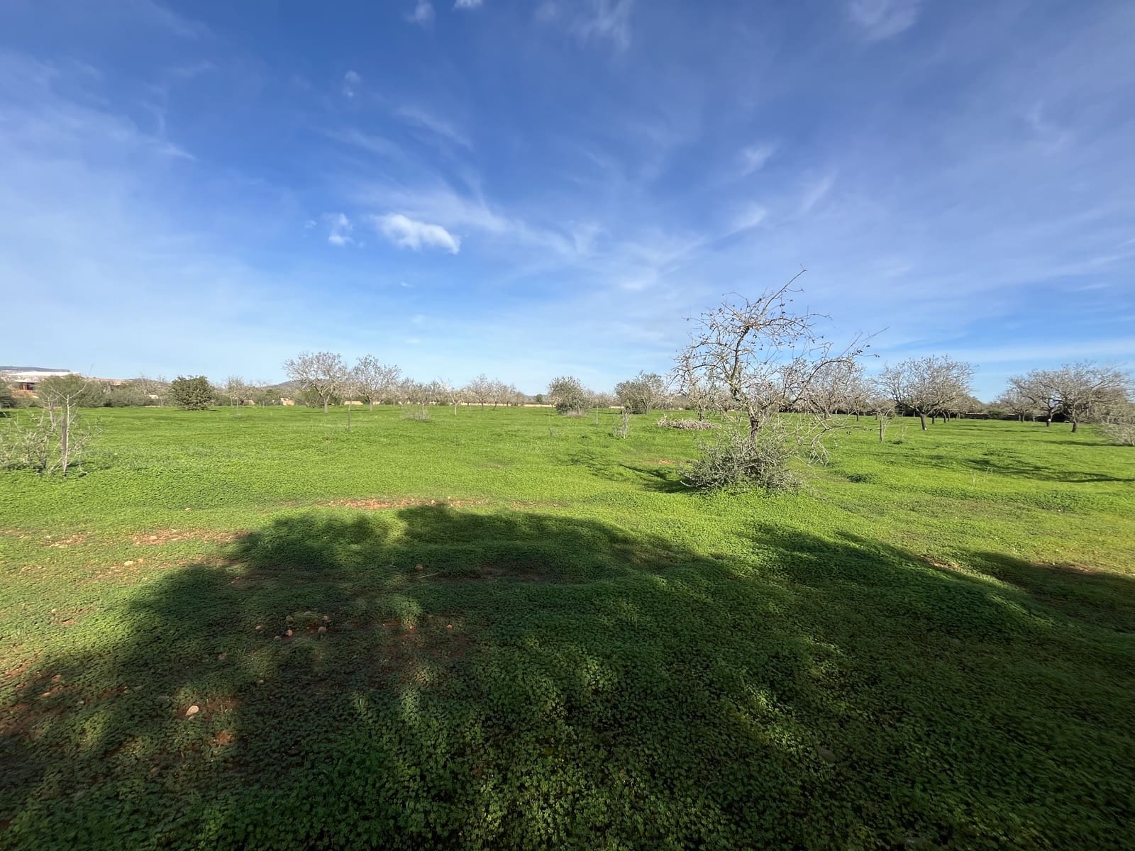 Byggetomt til salgs i Llucmajor - € 380 000 (Ref: 8685604)