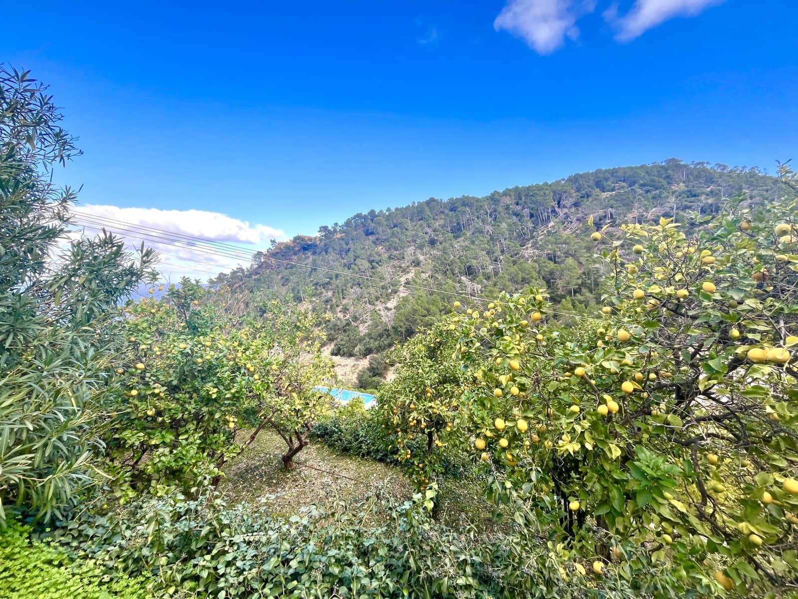 8 camera da letto Finca/Casa di Campagna da affittare in Banyalbufar con piscina garage - 30.000 € (Rif: 8705875)