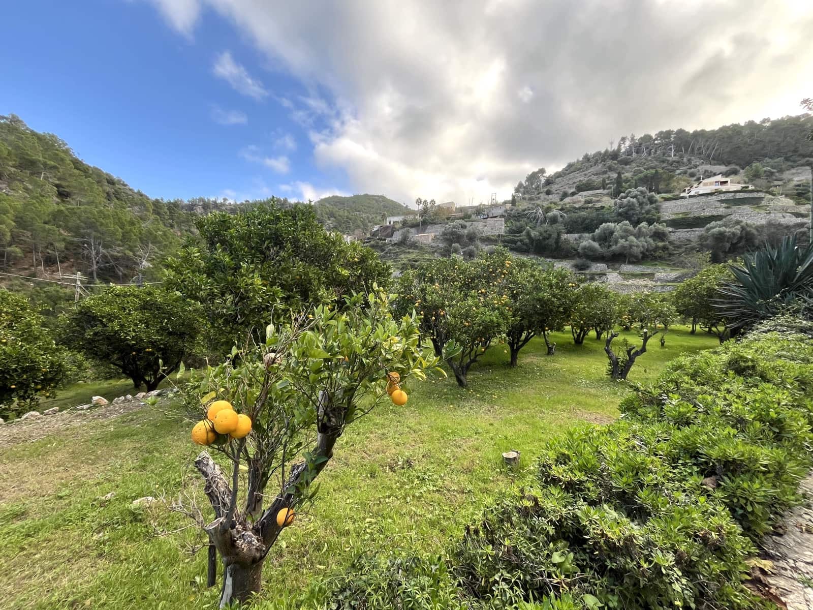 8 camera da letto Finca/Casa di Campagna da affittare in Banyalbufar con piscina garage - 30.000 € (Rif: 8705875)