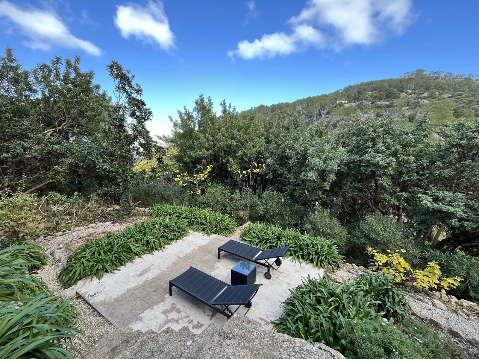 8 camera da letto Finca/Casa di Campagna da affittare in Banyalbufar con piscina garage - 30.000 € (Rif: 8705875)