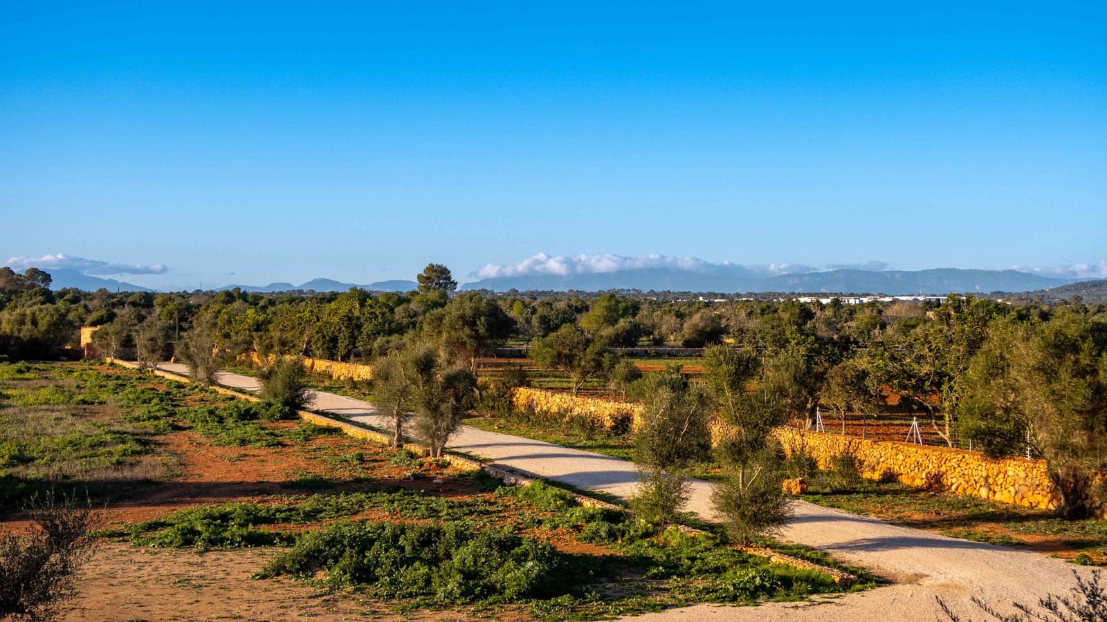 3 sovrum Finca/Hus på landet till salu i Llucmajor med pool garage - 3 950 000 € (Ref: 8710073)