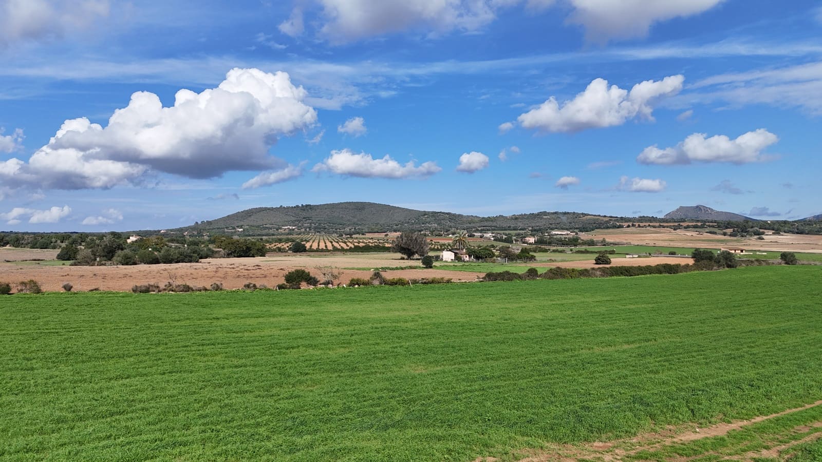 Byggegrund til salg i Manacor - € 495.000 (Ref: 8723395)