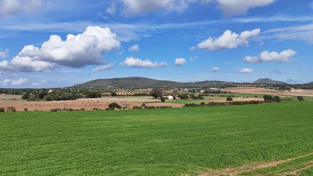 Building Plot for sale in Manacor - € 495,000 (Ref: 8723395)