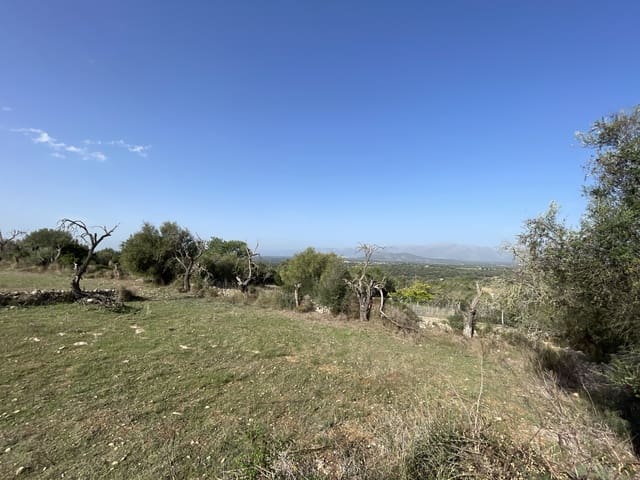 Building Plot for sale in Llubí - € 500,000 (Ref: 8727024)