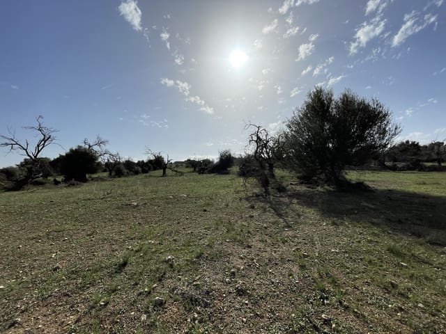 Building Plot for sale in Llubí - € 500,000 (Ref: 8727024)