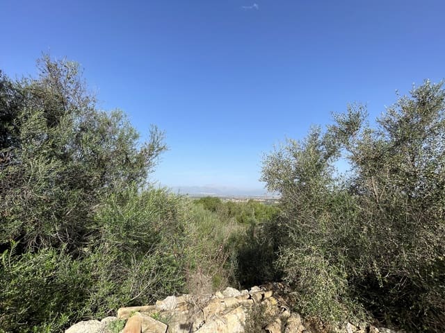 Building Plot for sale in Llubí - € 500,000 (Ref: 8727024)