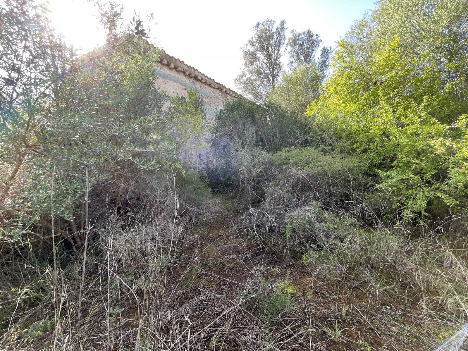 3 bedroom Finca/Country House for sale in Llubi - € 500,000 (Ref: 8727025)