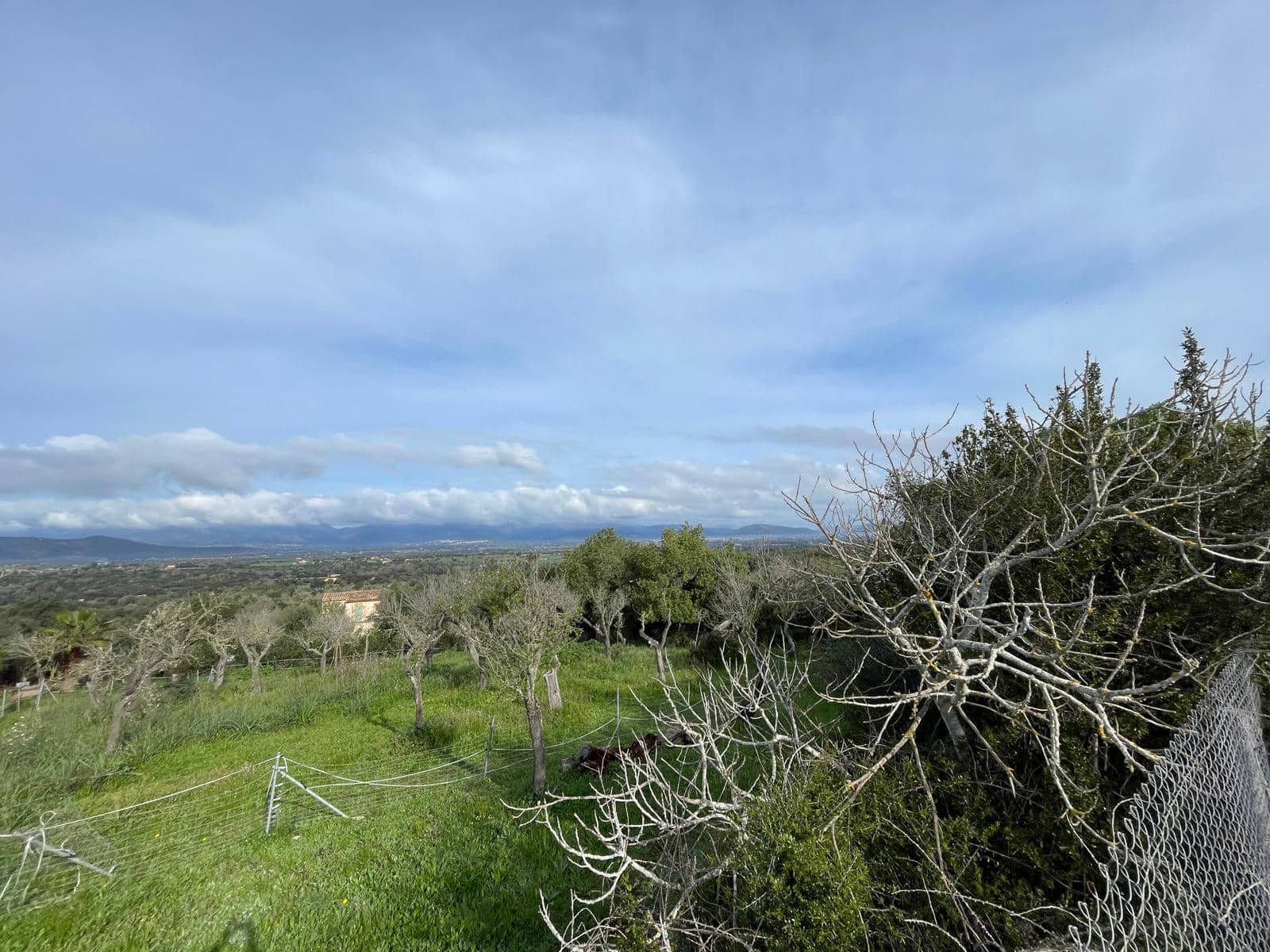 3 bedroom Finca/Country House for sale in Llubi - € 500,000 (Ref: 8727025)