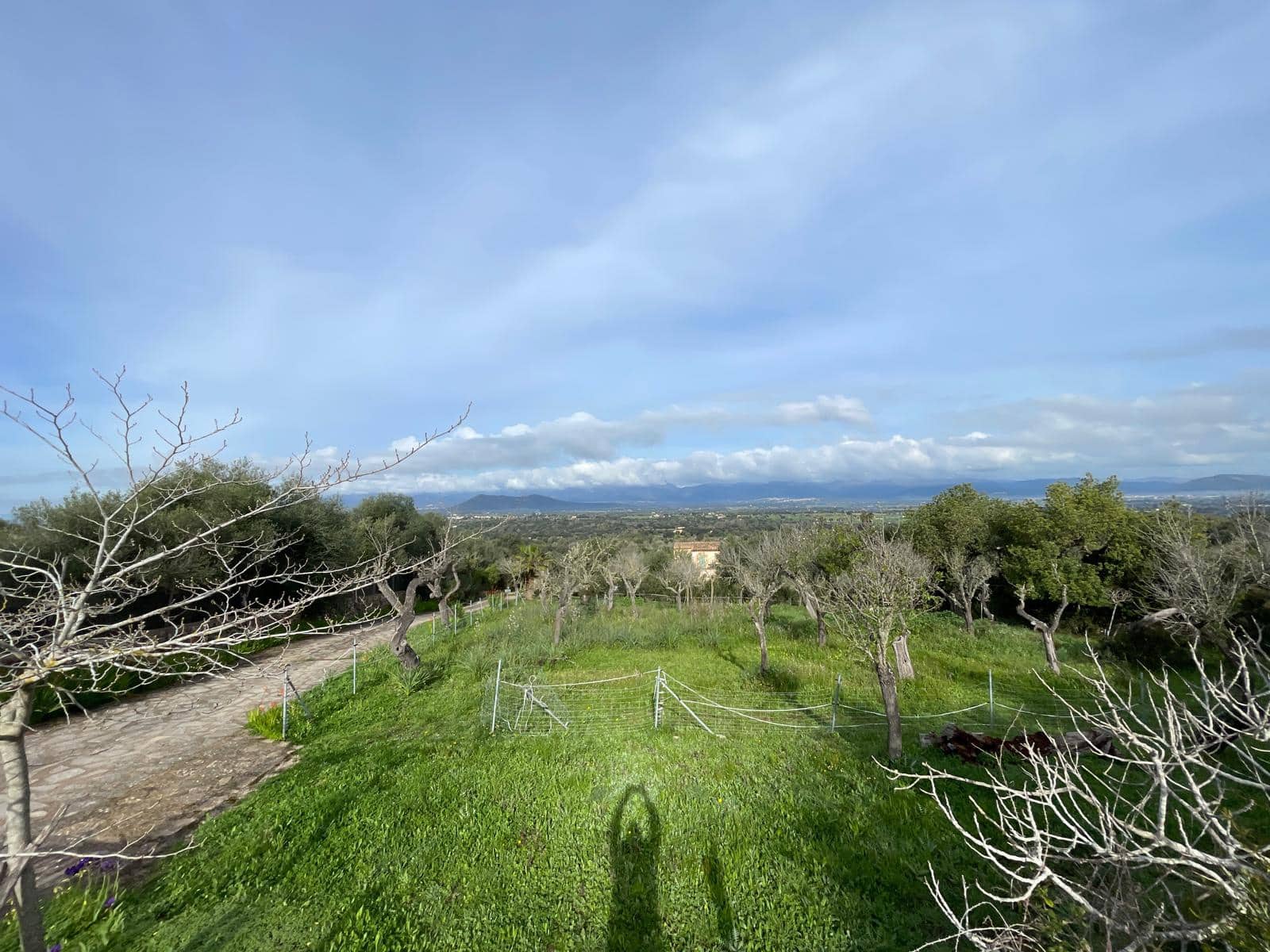 3 bedroom Finca/Country House for sale in Llubi - € 500,000 (Ref: 8727025)