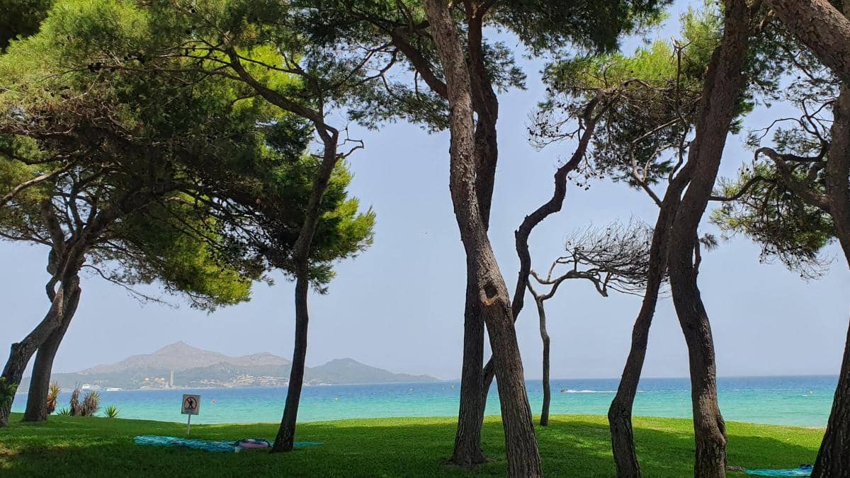 3 soveværelse Villa til leje i Muro med garage - € 1.500 (Ref: 8742779)