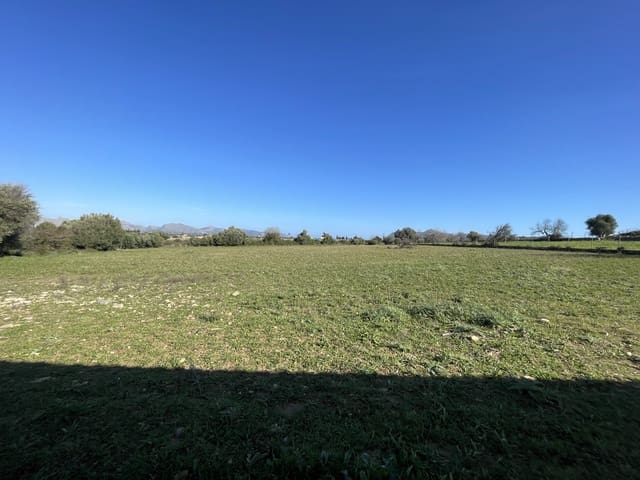 2 bedroom Villa for rent in Alcúdia with garage - € 2,500 (Ref: 8766297)