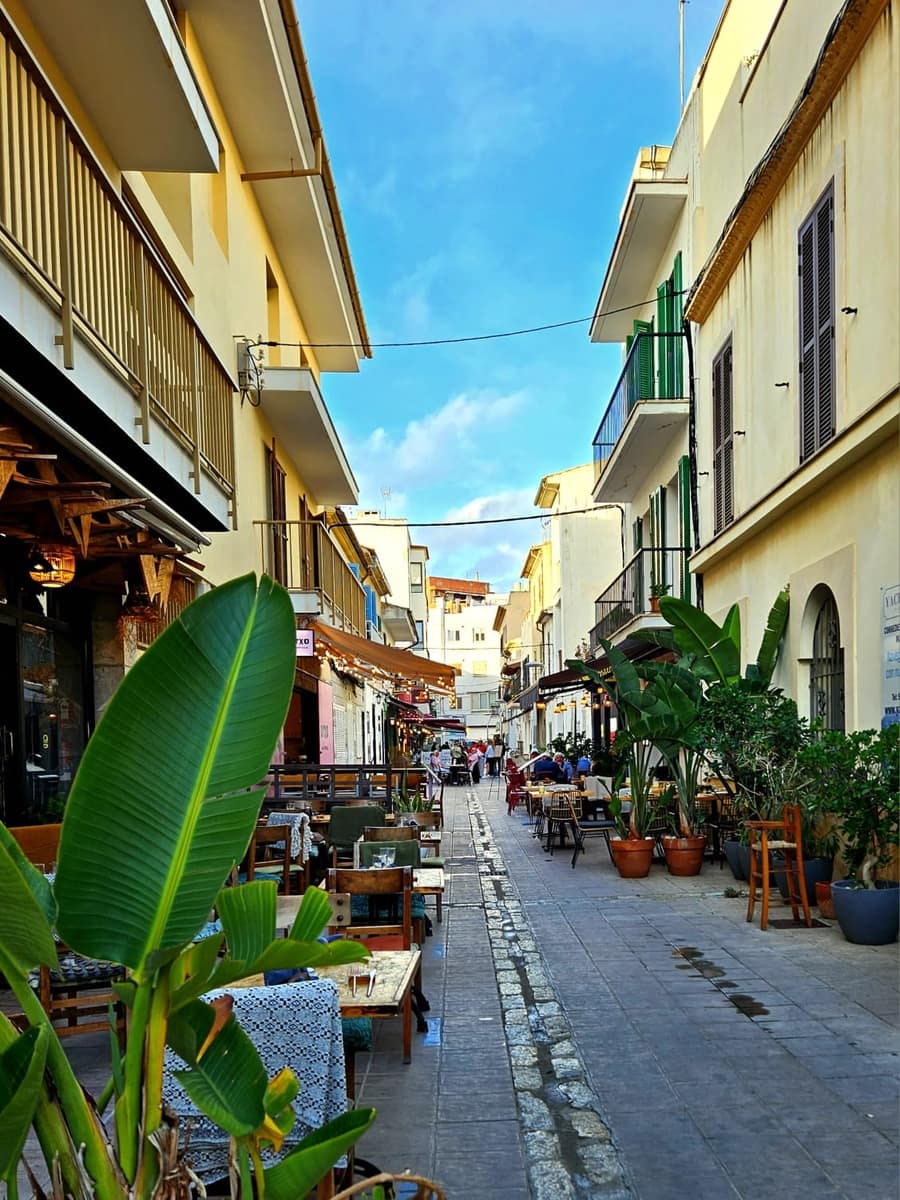 2 sypialnia Apartament do wynajęcia w Pollensa / Pollenca z garażem - 5 000 € (Ref: 8800402)