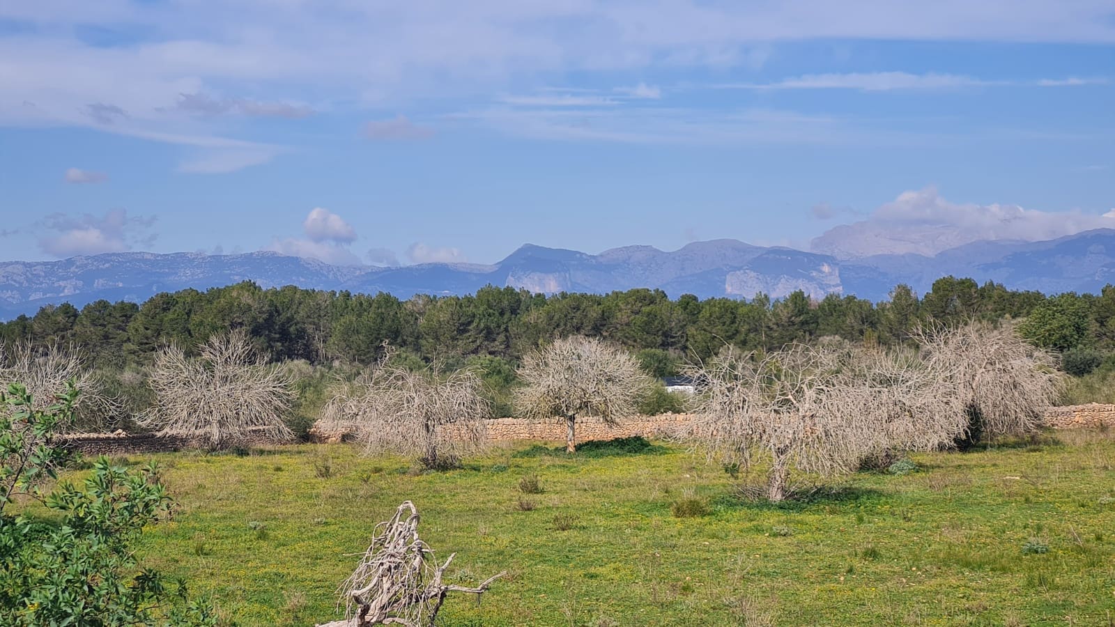 3 slaapkamer Finca/Landhuis te koop in Algaida met garage - € 540.000 (Ref: 8807496)