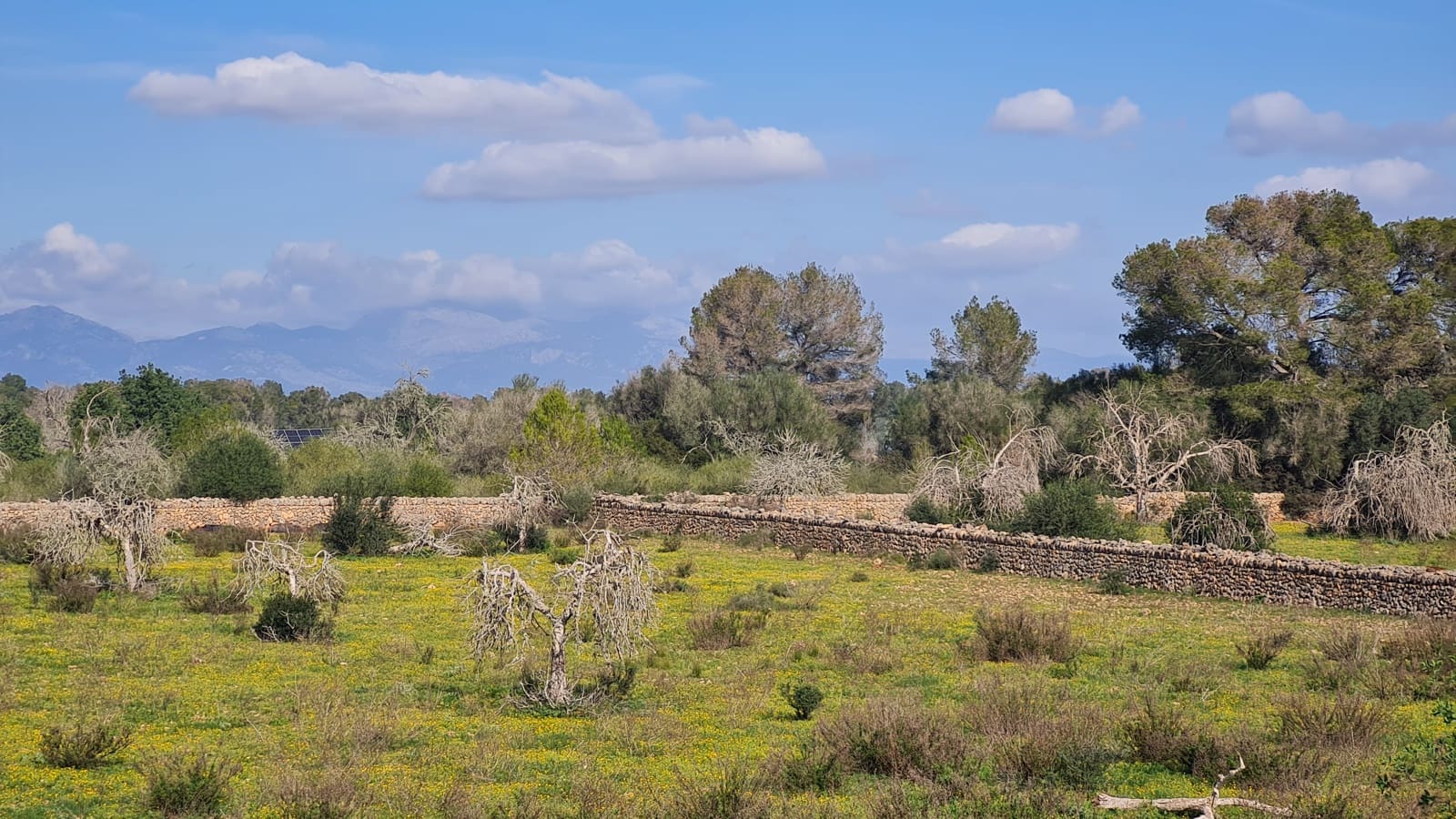 3 slaapkamer Finca/Landhuis te koop in Algaida met garage - € 540.000 (Ref: 8807496)