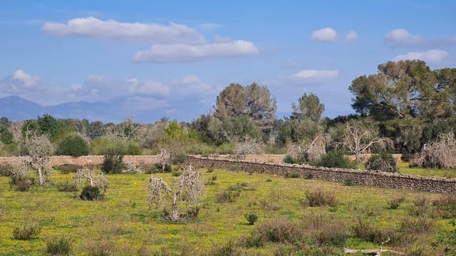 3 makuuhuone Maalaistalo myytävänä paikassa Algaida mukana 
autotalli - 540 000 € (Ref: 8807496)