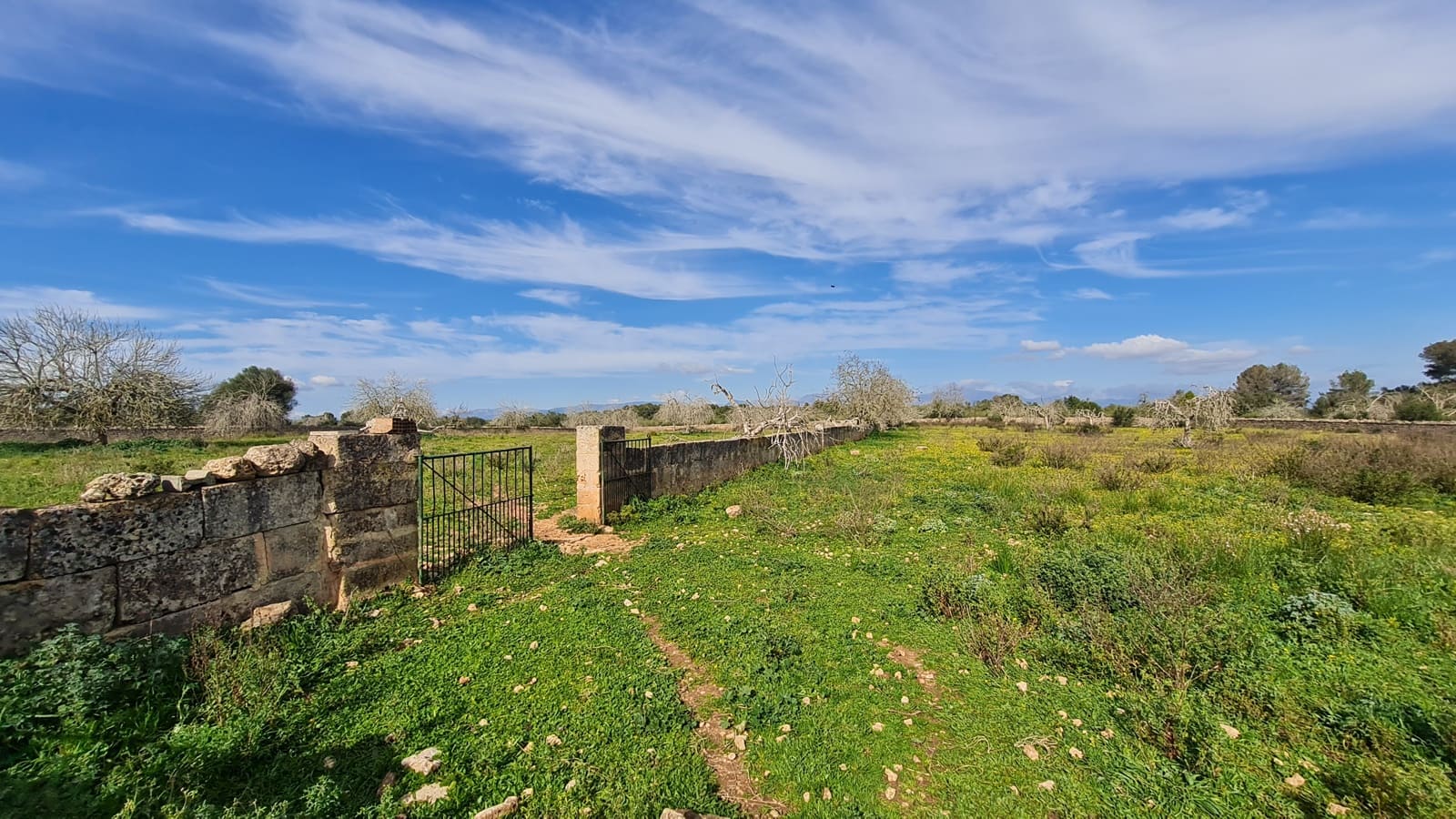 3 slaapkamer Finca/Landhuis te koop in Algaida met garage - € 540.000 (Ref: 8807496)