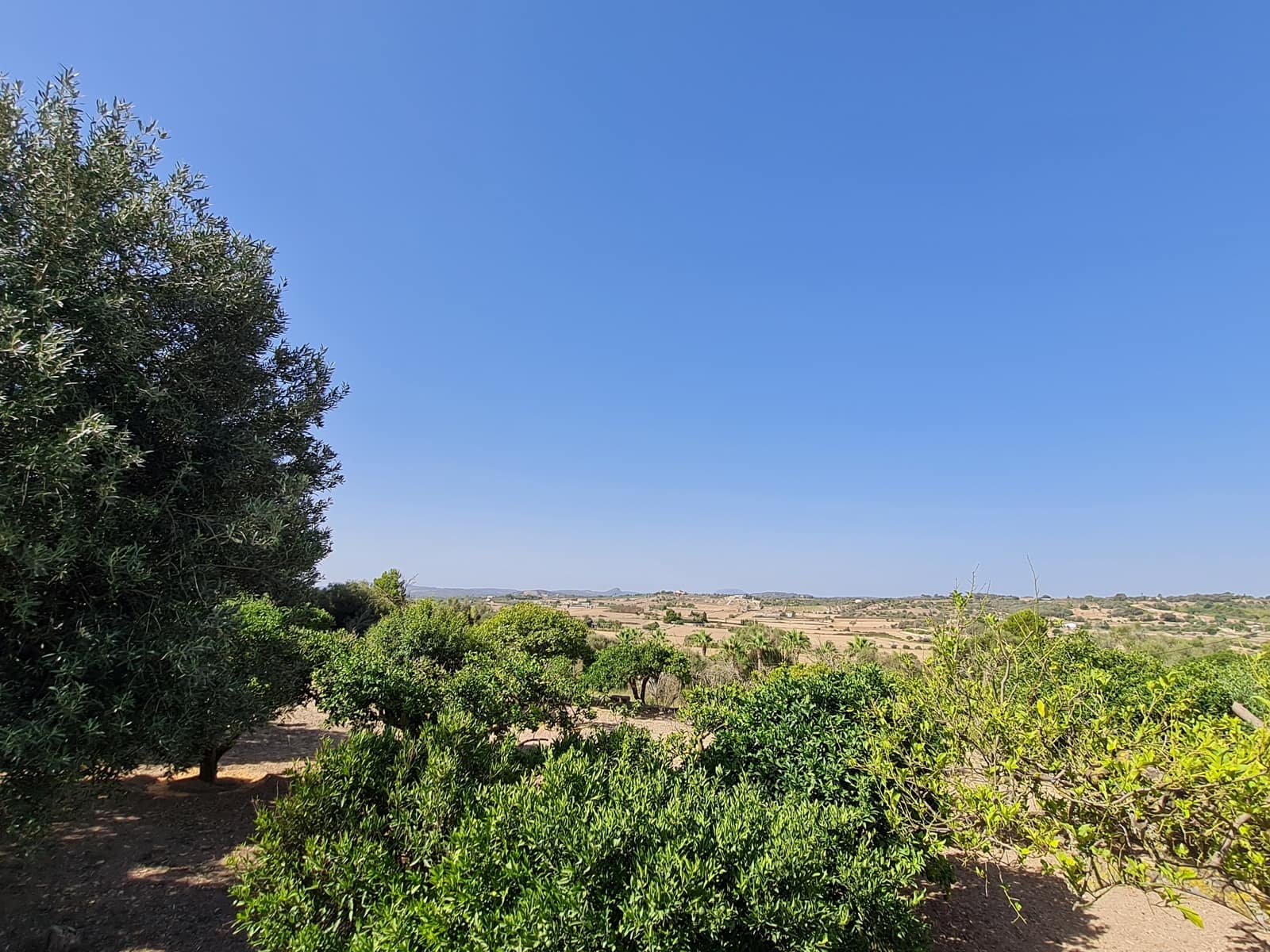 Byggegrund til salg i Santa Margalida - € 200.000 (Ref: 8807498)