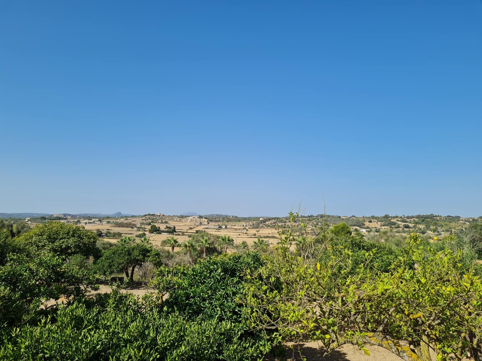 Byggegrund til salg i Santa Margalida - € 200.000 (Ref: 8807498)