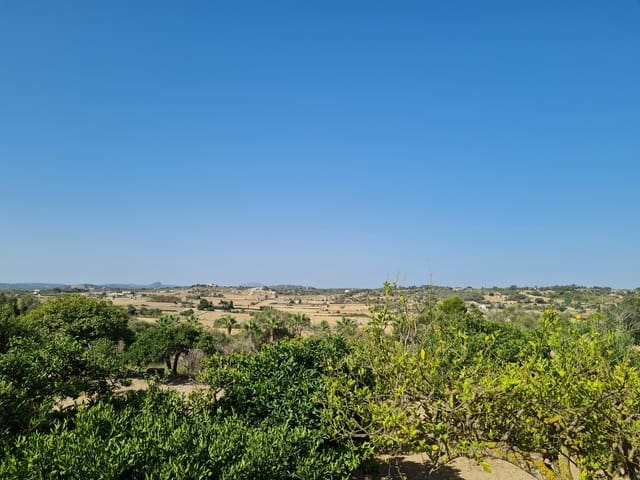 Building Plot for sale in Santa Margalida - € 200,000 (Ref: 8807498)