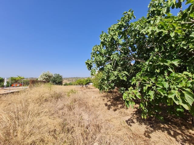 Building Plot for sale in Santa Margalida - € 200,000 (Ref: 8807498)