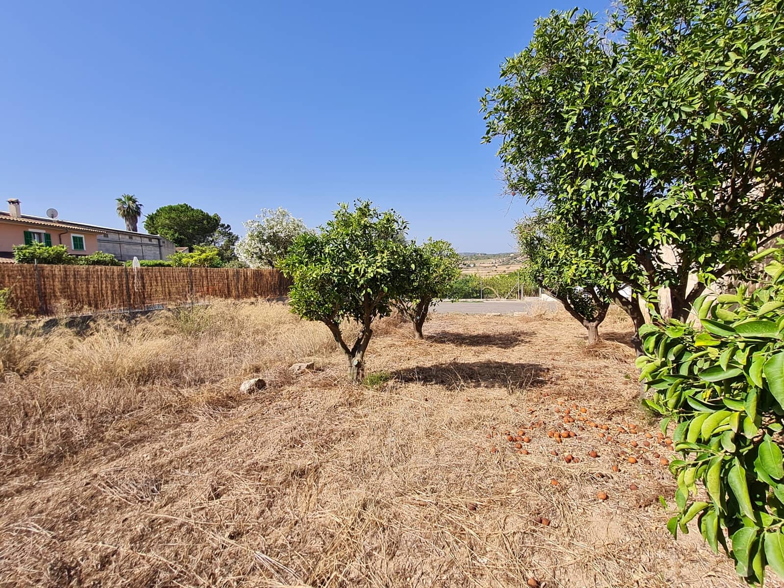 Byggegrund til salg i Santa Margalida - € 200.000 (Ref: 8807498)