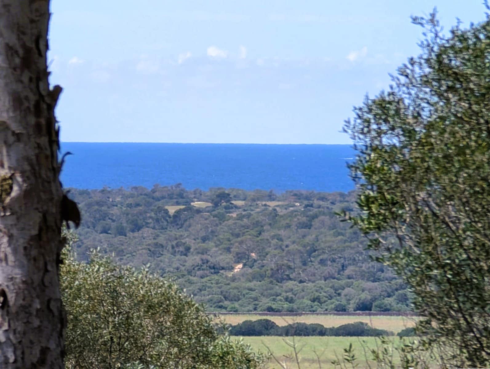 Działka budowlana na sprzedaż w Ses Salines - 1 600 000 € (Ref: 8951978)