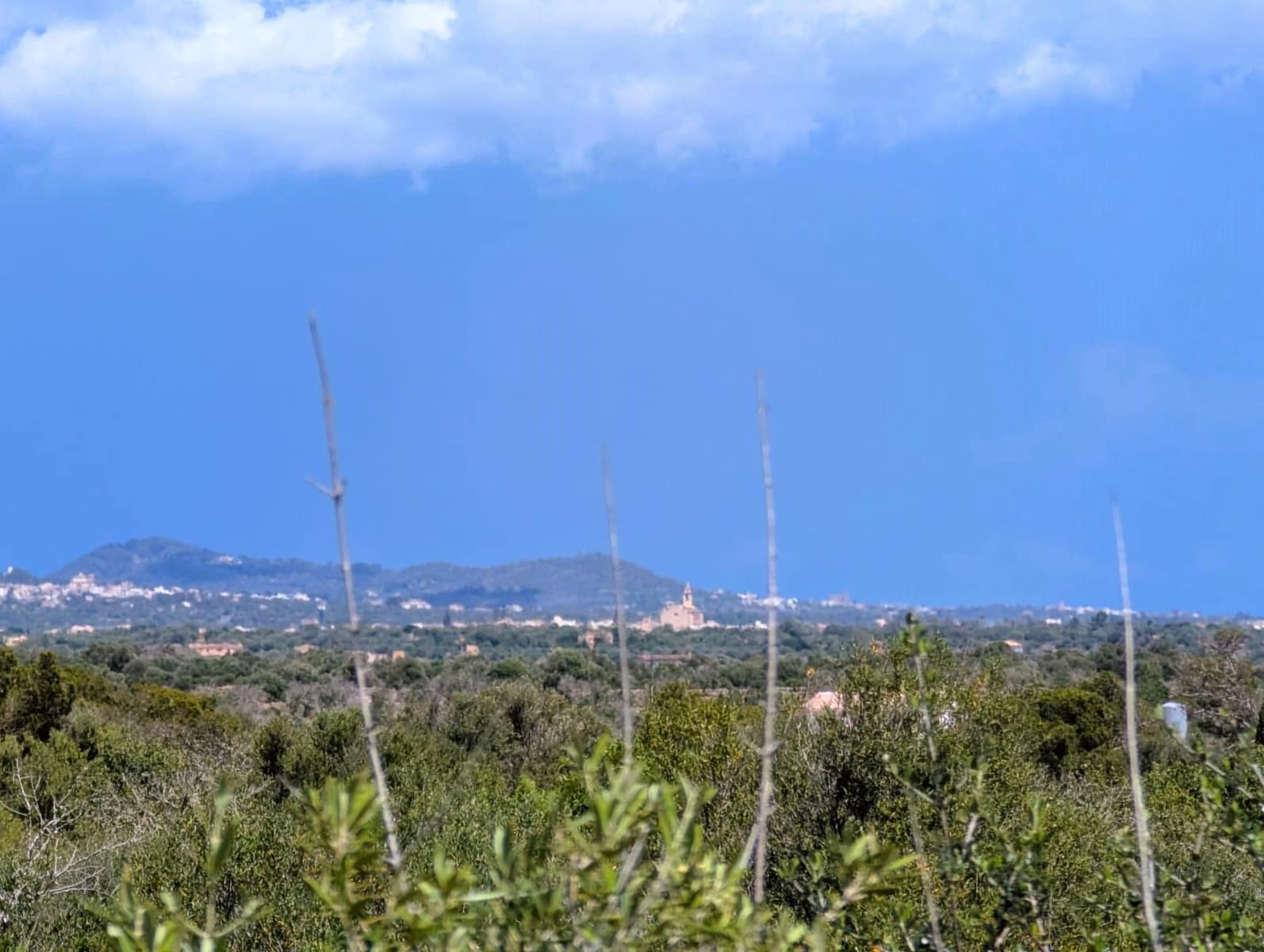 Działka budowlana na sprzedaż w Ses Salines - 1 600 000 € (Ref: 8951978)