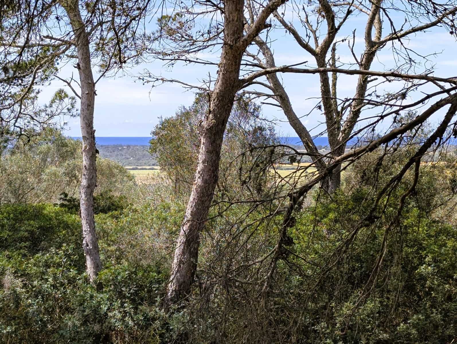 Działka budowlana na sprzedaż w Ses Salines - 1 600 000 € (Ref: 8951978)