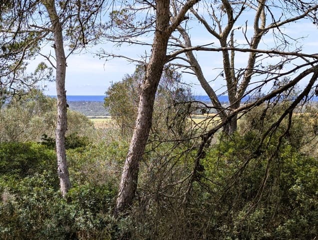 Bouwgrond te koop in Ses Salines - € 1.600.000 (Ref: 8951978)