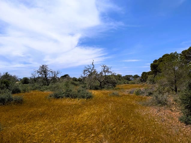 Bouwgrond te koop in Ses Salines - € 1.600.000 (Ref: 8951978)