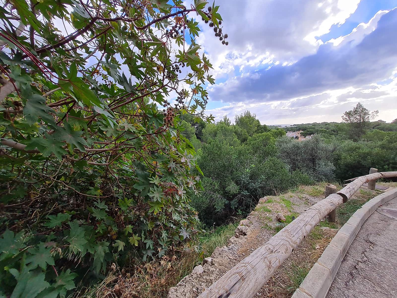 Działka budowlana na sprzedaż w Portals Nous - 1 500 000 € (Ref: 8951984)