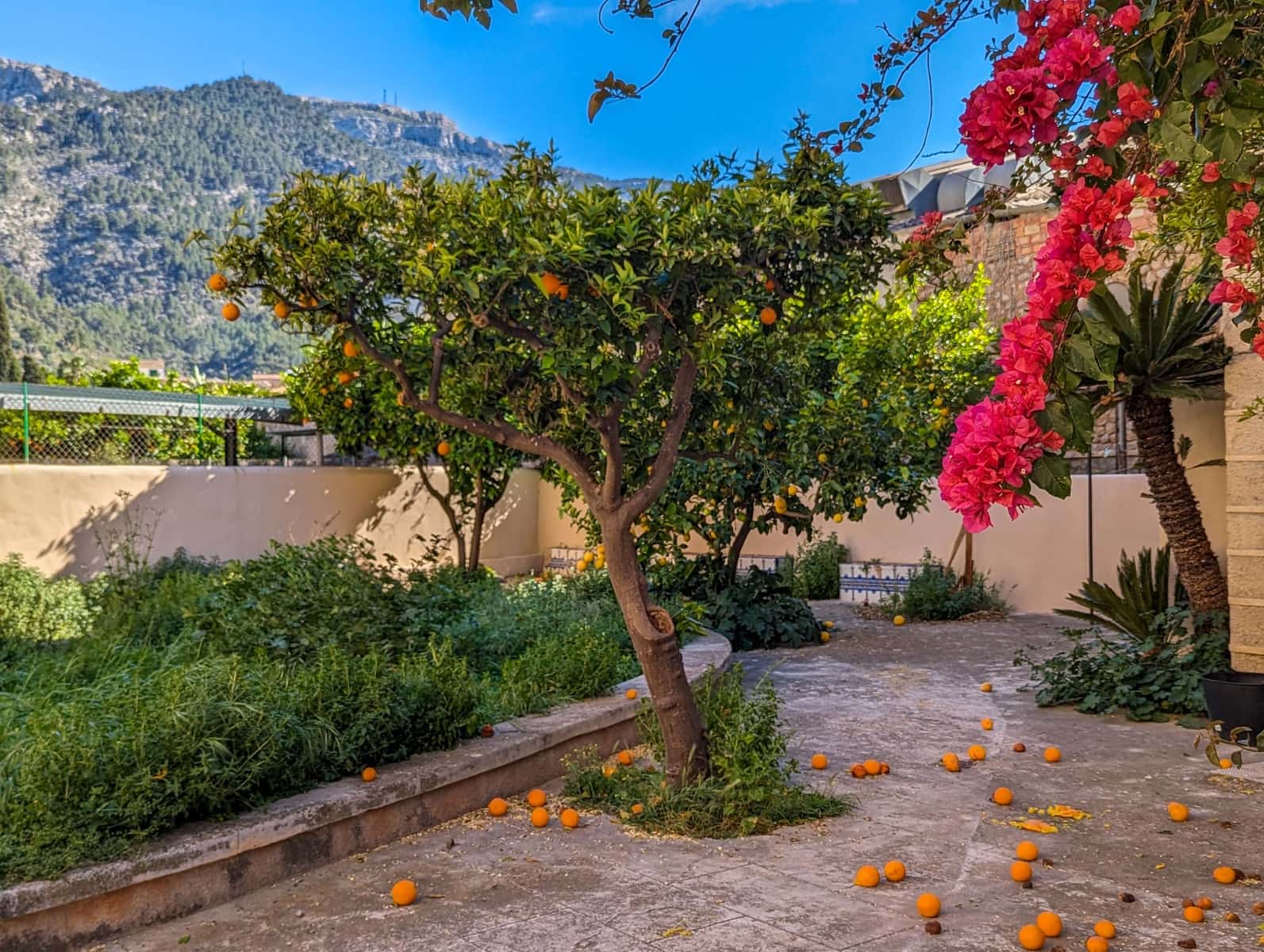 4 soveværelse Byhus til salg i Soller med swimmingpool garage - € 1.099.000 (Ref: 8953857)