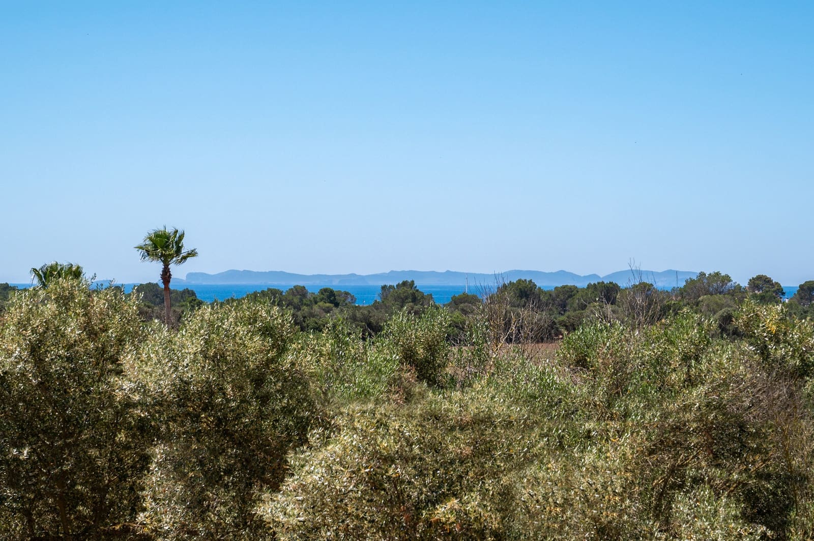 5 soveværelse Finca/Landehus til salg i Sa Rapita / La Rapita med swimmingpool garage - € 3.950.000 (Ref: 8953859)