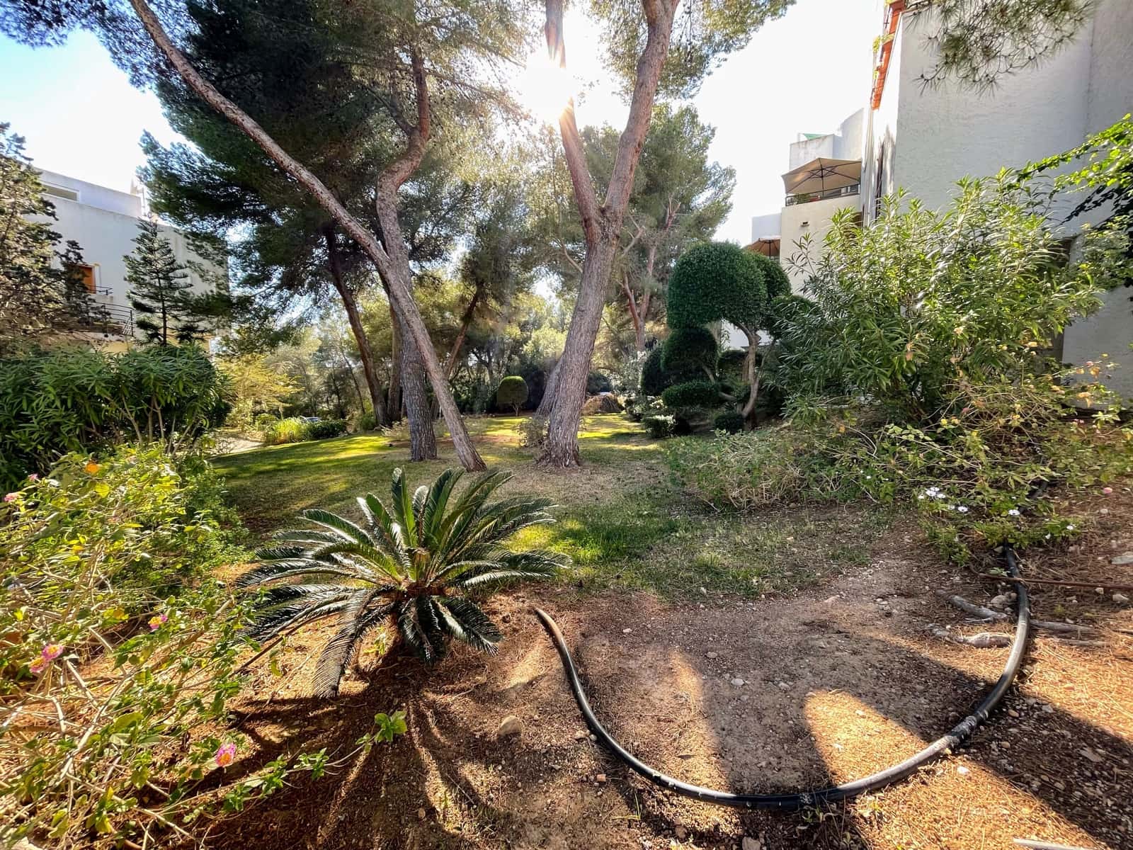 3 soveværelse Semi-Rækkehus til salg i Sol de Mallorca med swimmingpool garage - € 660.000 (Ref: 8956420)