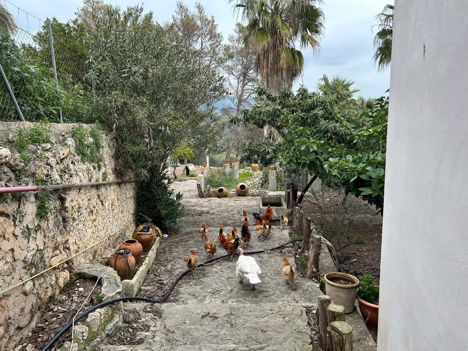 8 Zimmer Villa zu verkaufen in Campanet mit Pool Garage - 2.750.000 € (Ref: 8956424)