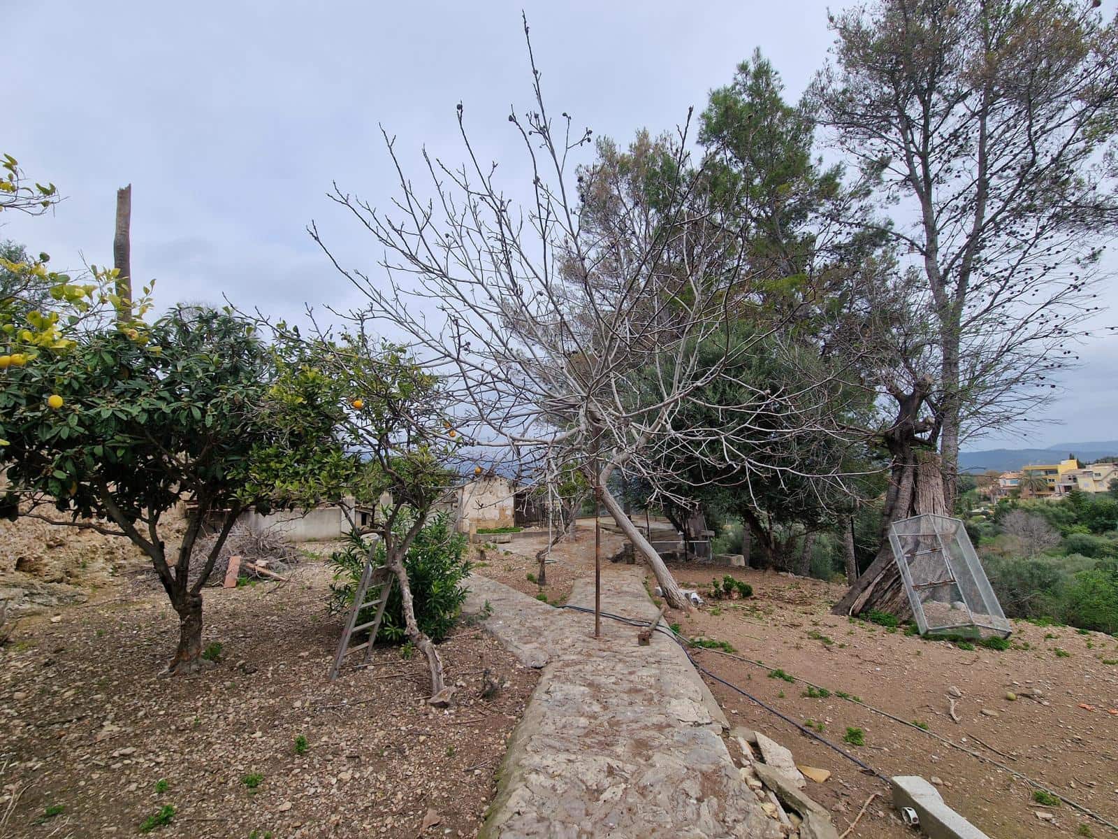 8 Zimmer Villa zu verkaufen in Campanet mit Pool Garage - 2.750.000 € (Ref: 8956424)