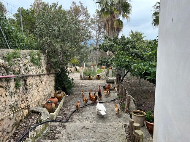 8 soveværelse Villa til salg i Campanet med swimmingpool garage - € 2.750.000 (Ref: 8956424)