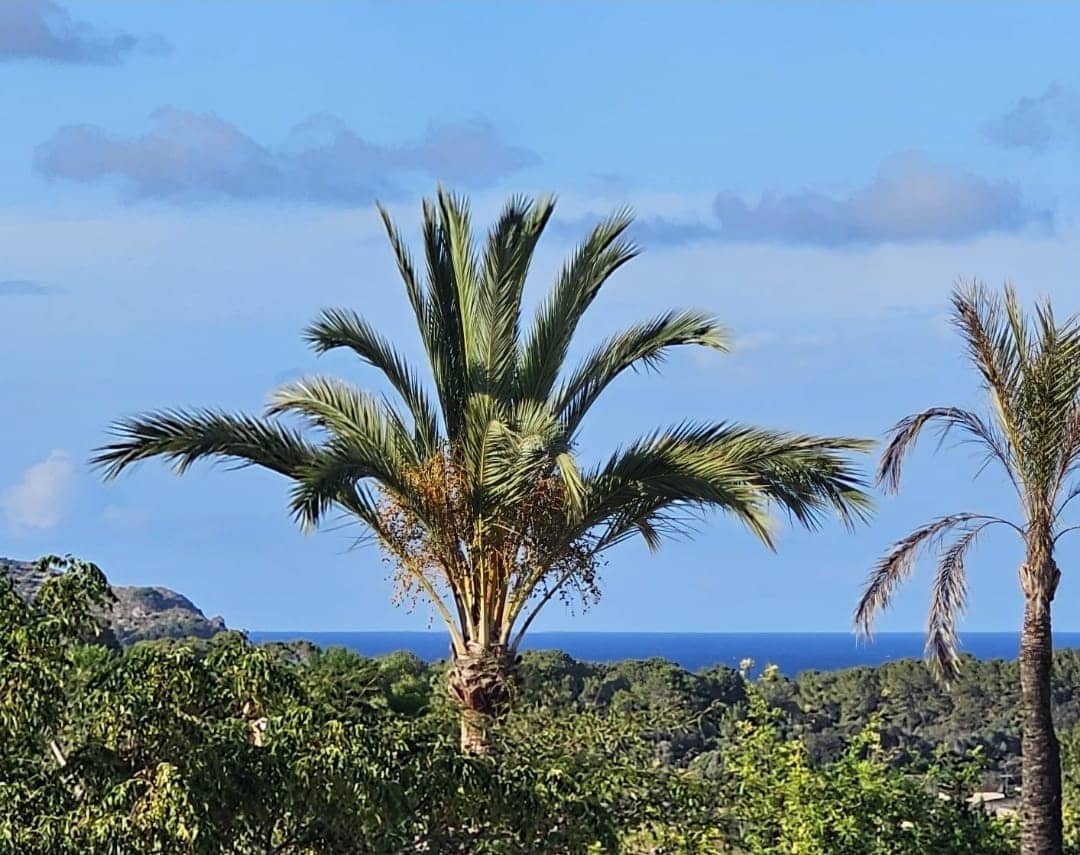 3 soveværelse Semi-Rækkehus til leje i Capdepera med garage - € 2.000 (Ref: 8967652)