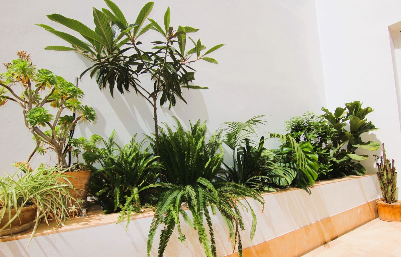 2 soveværelse Lejlighed til salg i Palma de Mallorca med swimmingpool garage - € 880.000 (Ref: 8969601)